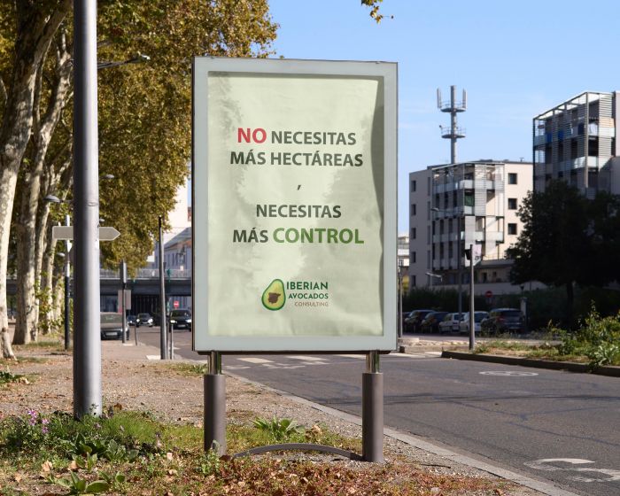 Iberian Avocados Consulting
